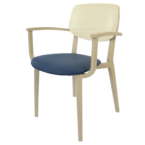 Aleni Armchair