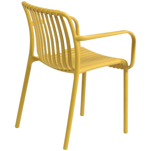 Isabellini Armchair