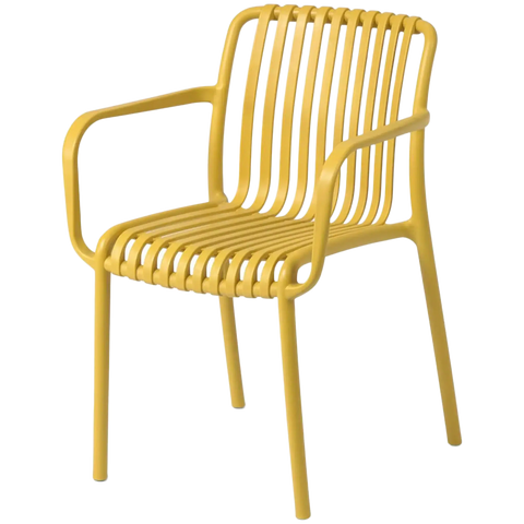 Isabellini Armchair